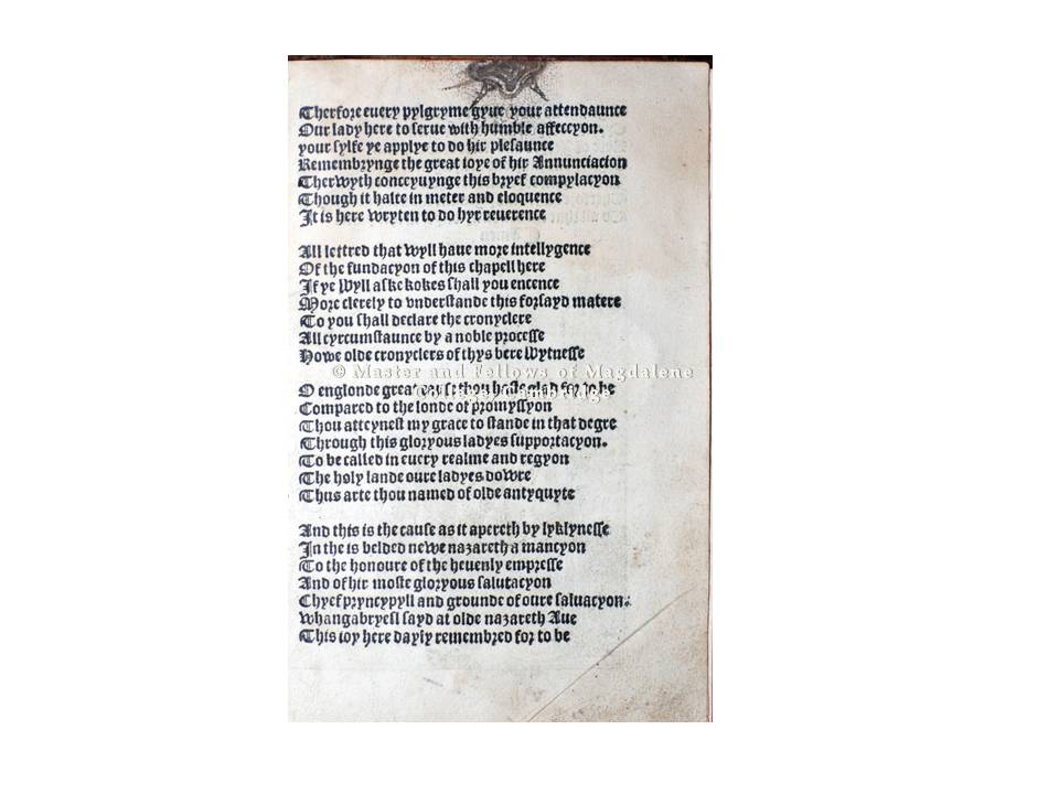 41223-mei-image-2-pl-12546-p.5