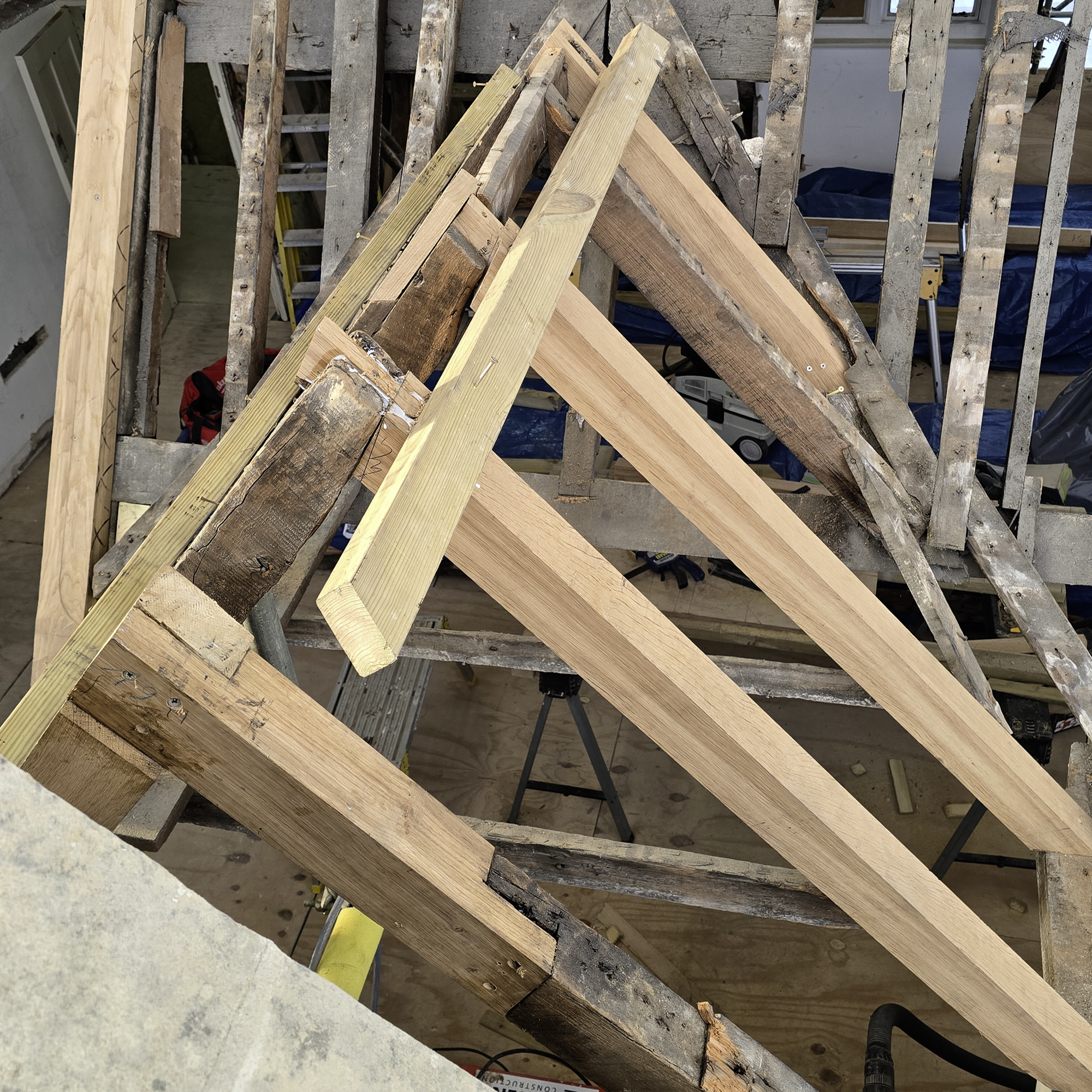 Pepys Restoration Project