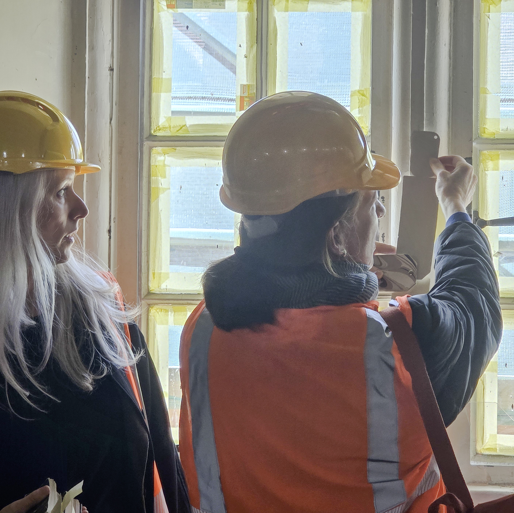 Pepys Restoration Project