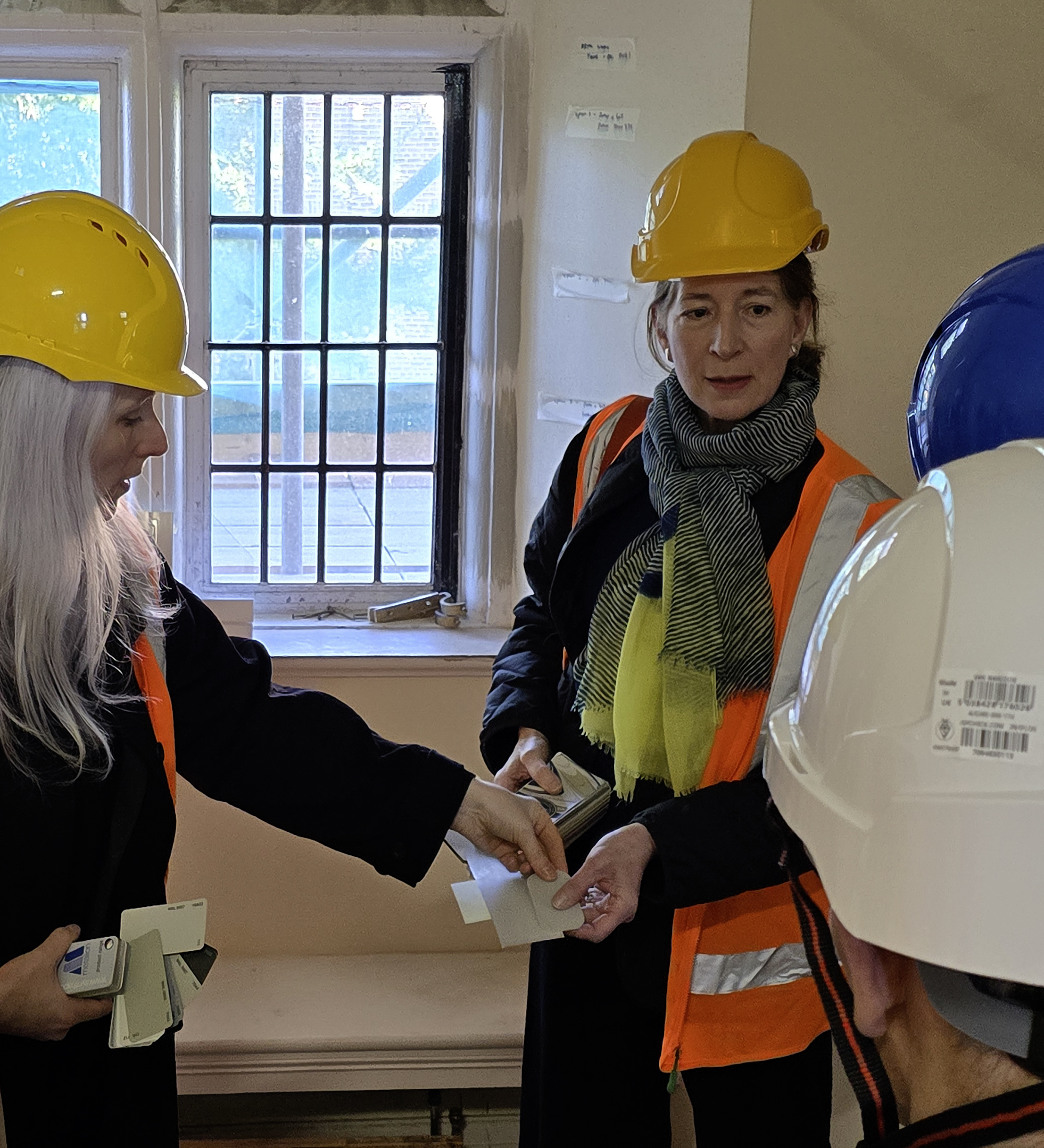 Pepys Restoration Project