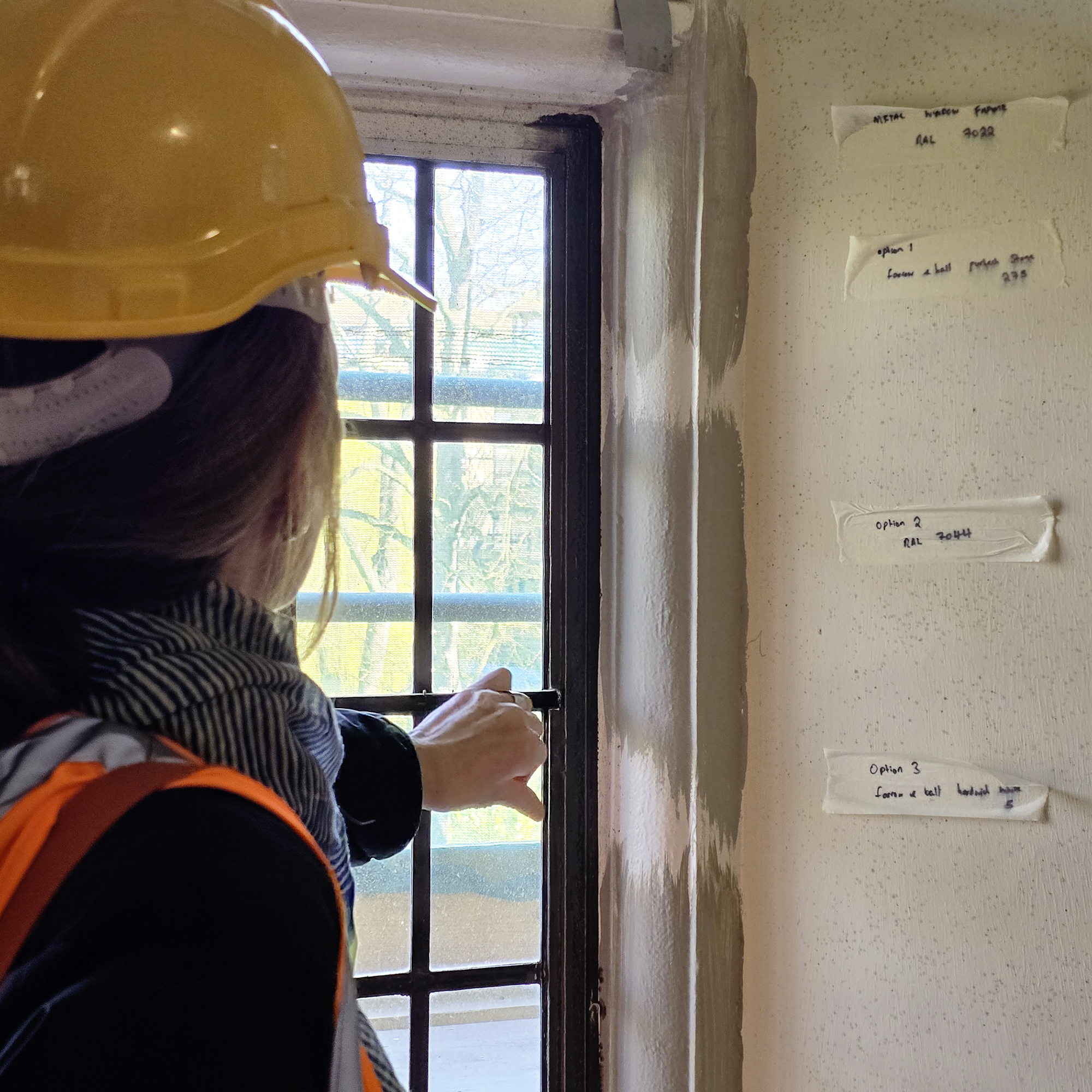 Pepys Restoration Project