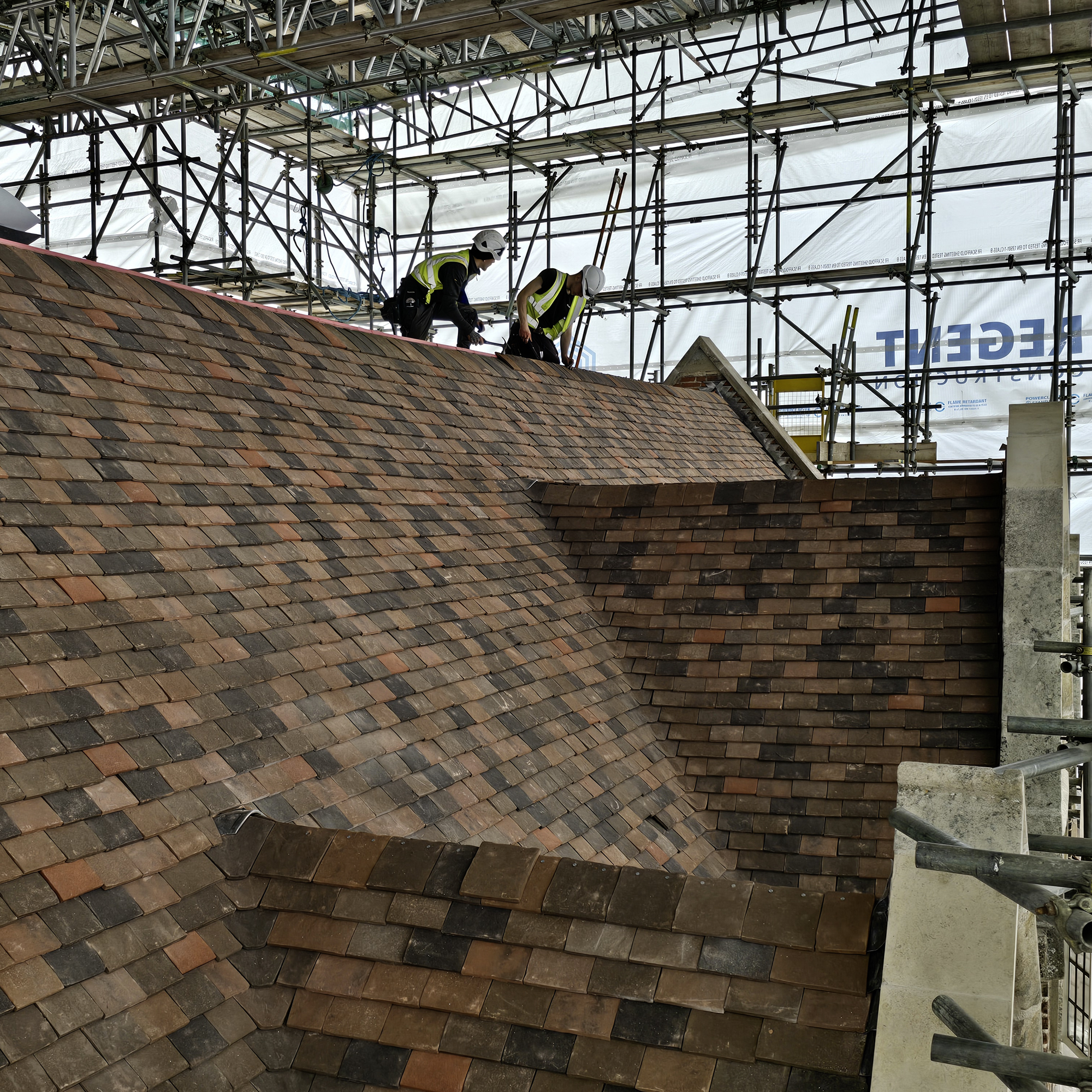 Pepys Restoration Project