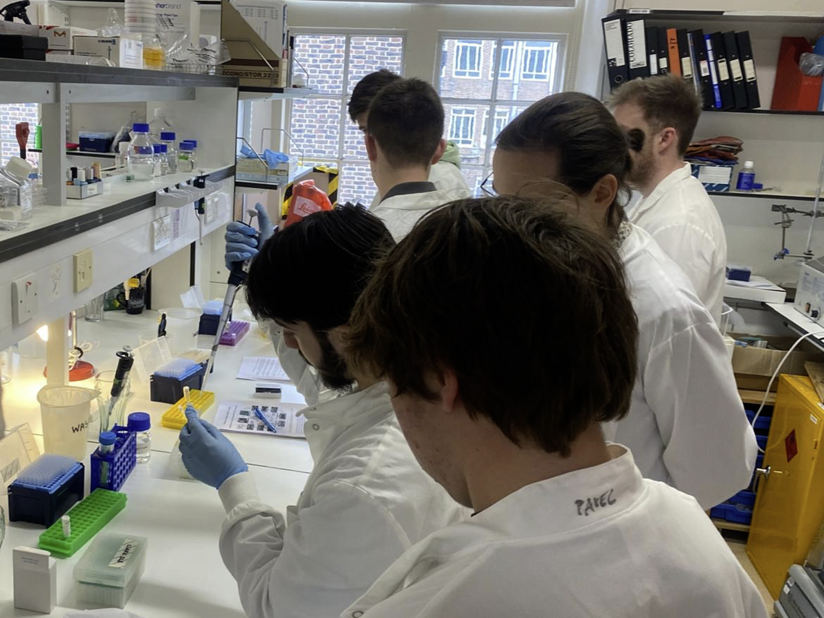 Seren Residential 2026