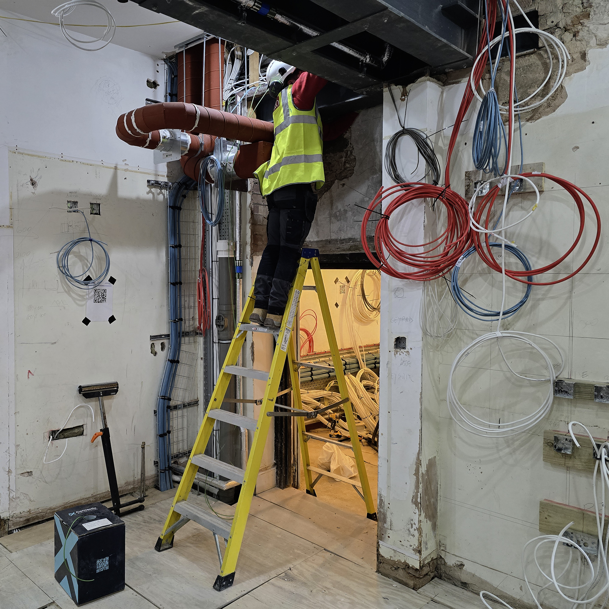 Pepys Restoration Project