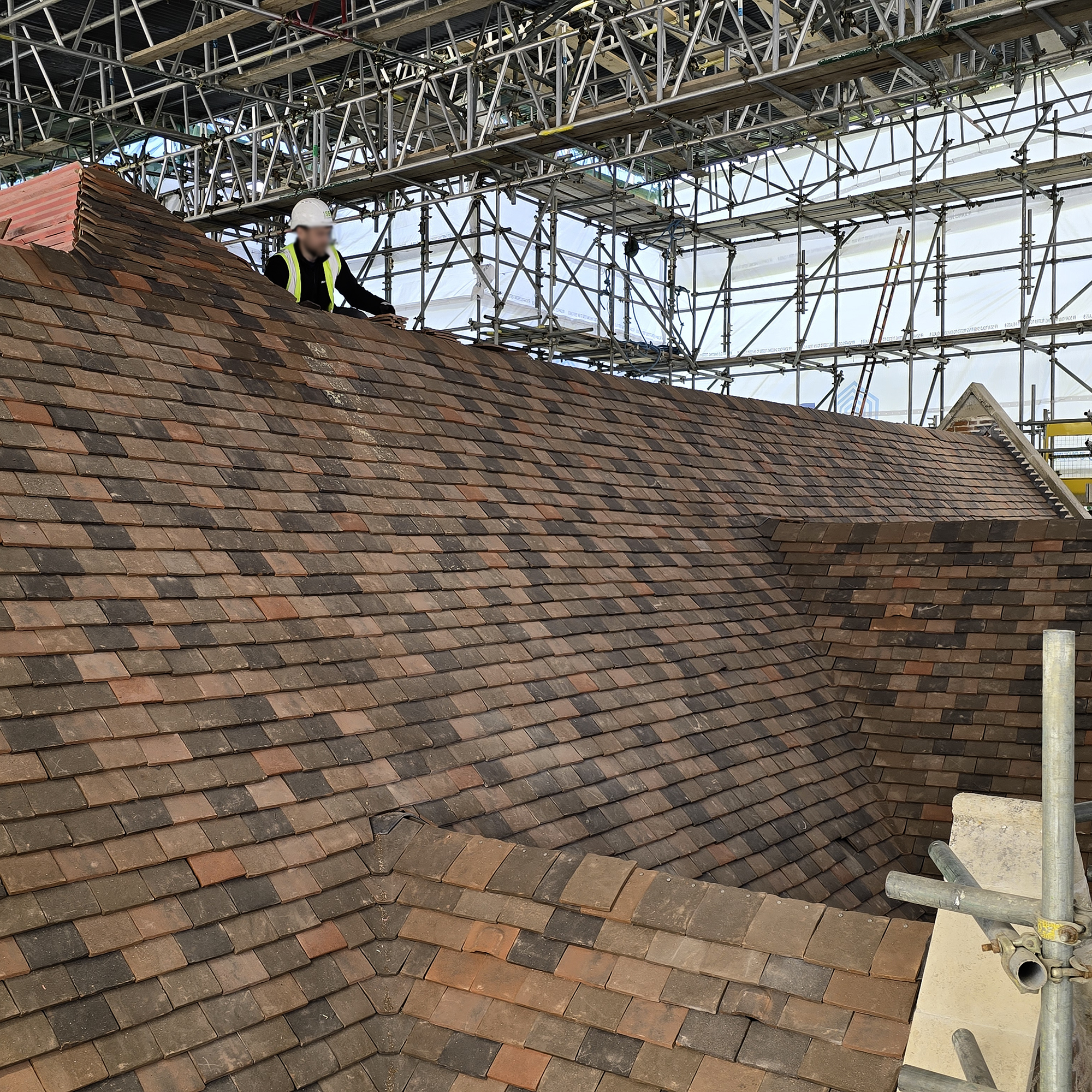 Pepys Restoration Project