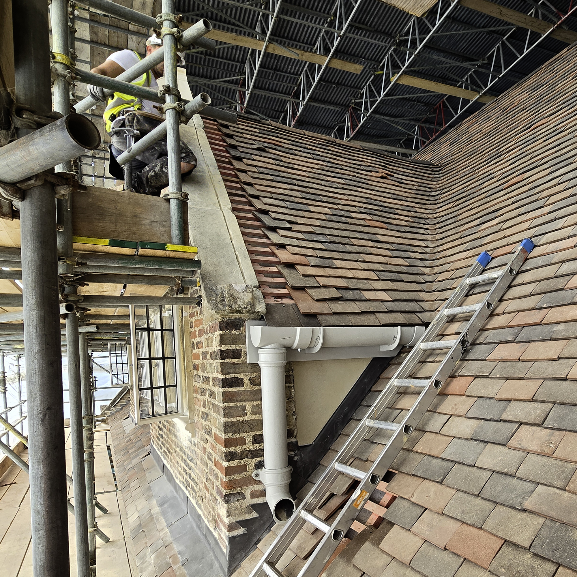 Pepys Restoration Project