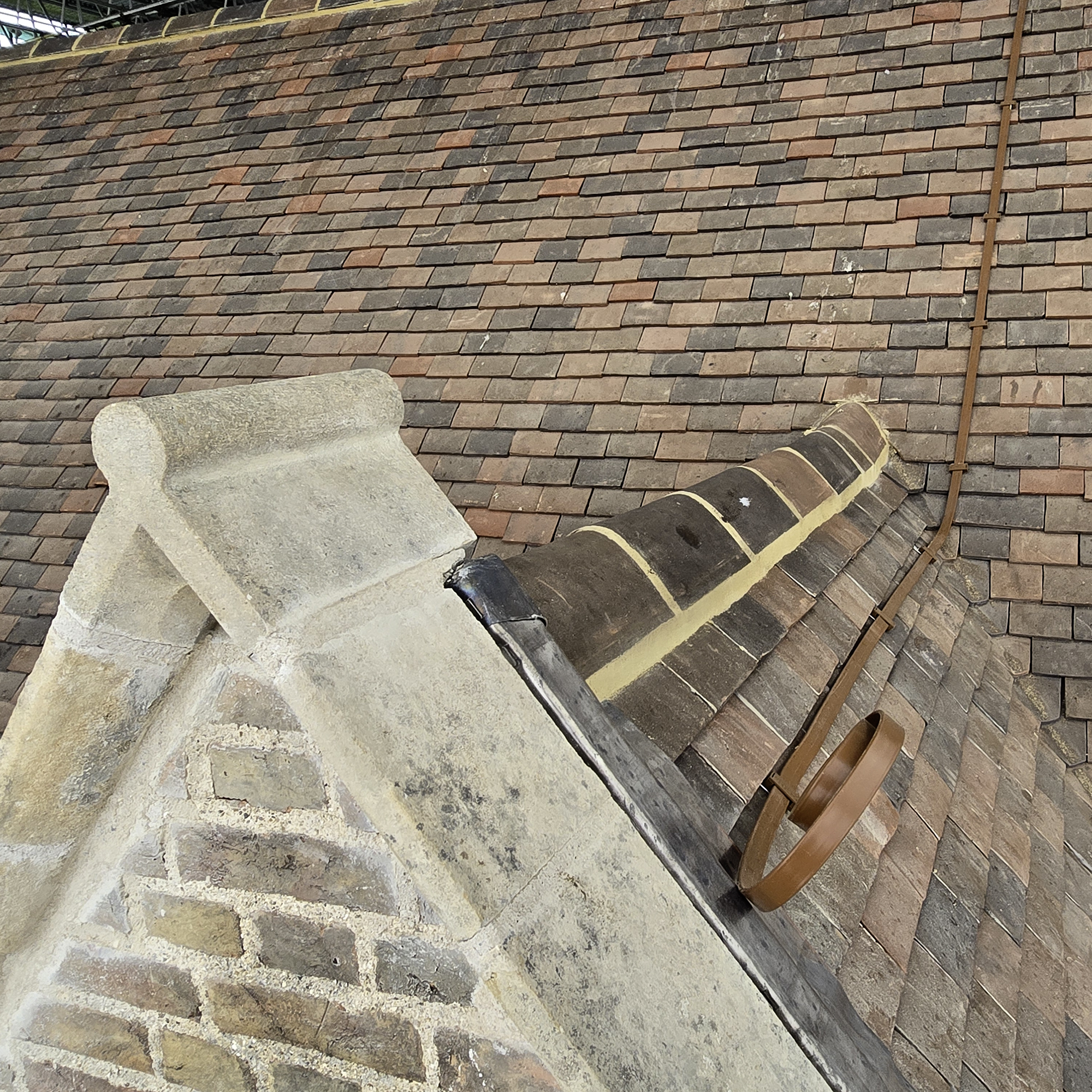Pepys Restoration Project