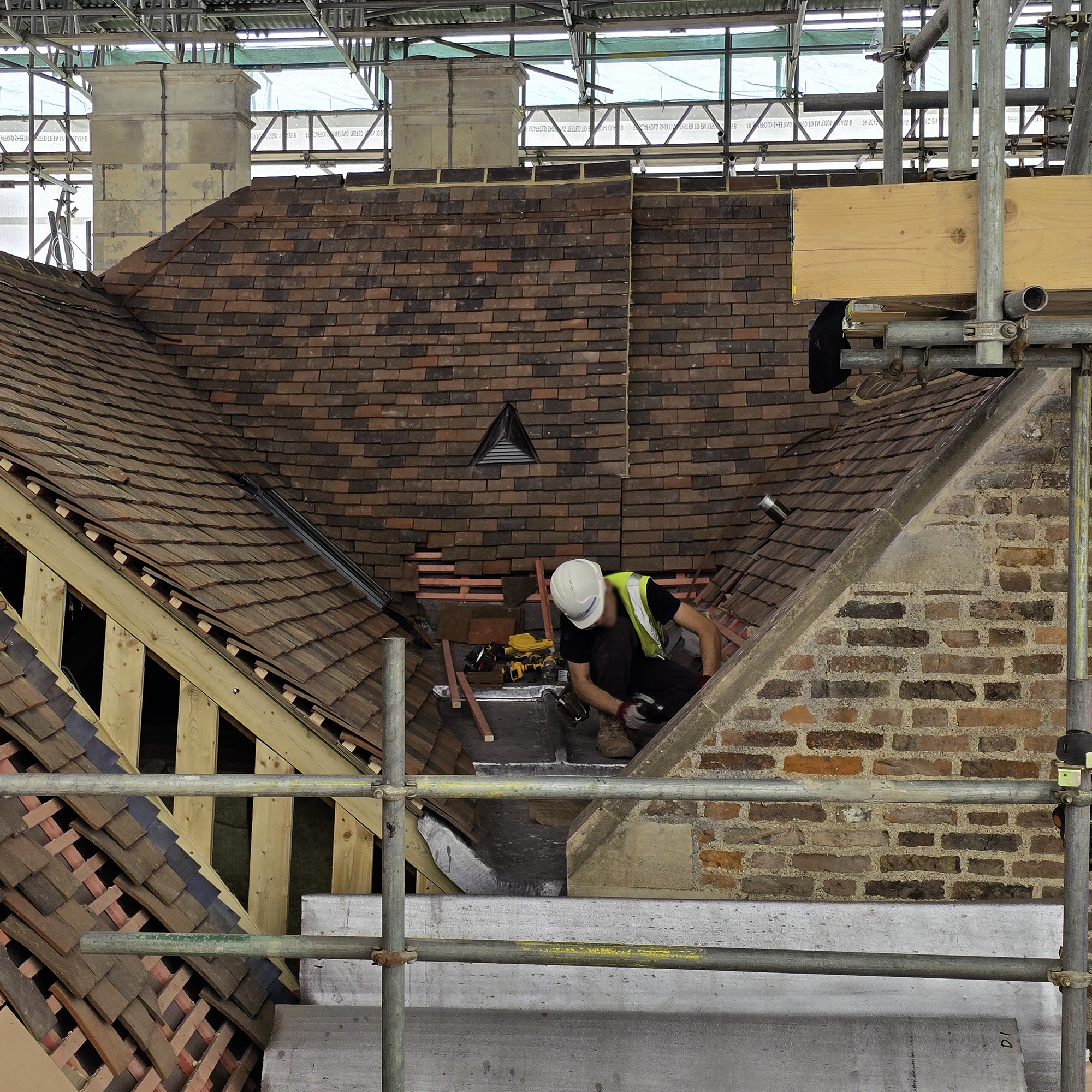 Pepys Restoration Project