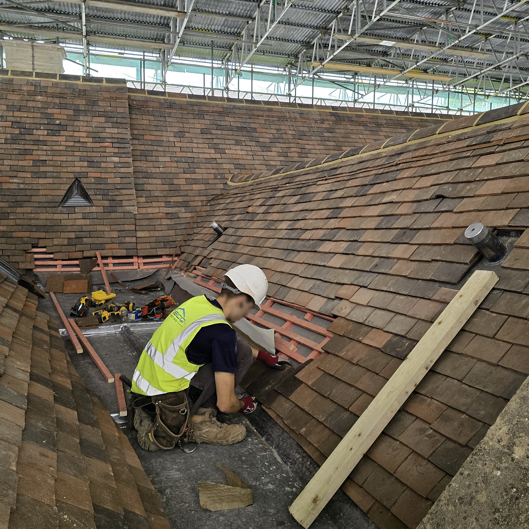 Pepys Restoration Project