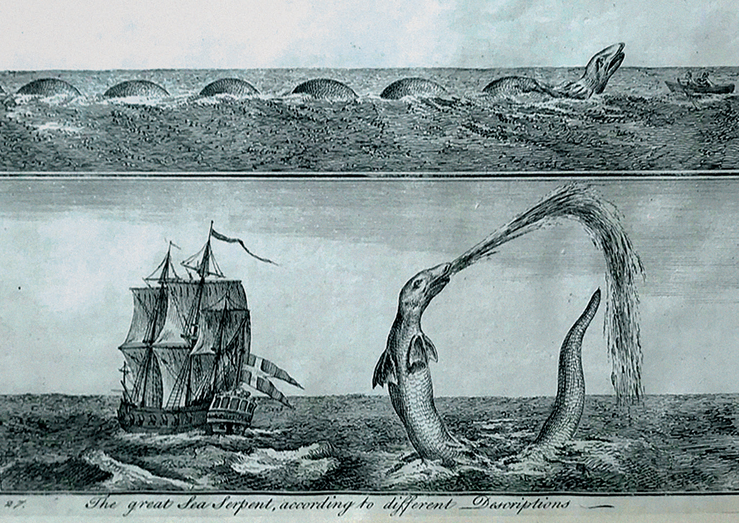 The 'great Sea Serpent’ from the 1755 English edition of Bishop Erik Pontoppidan’s Natural History of Norway