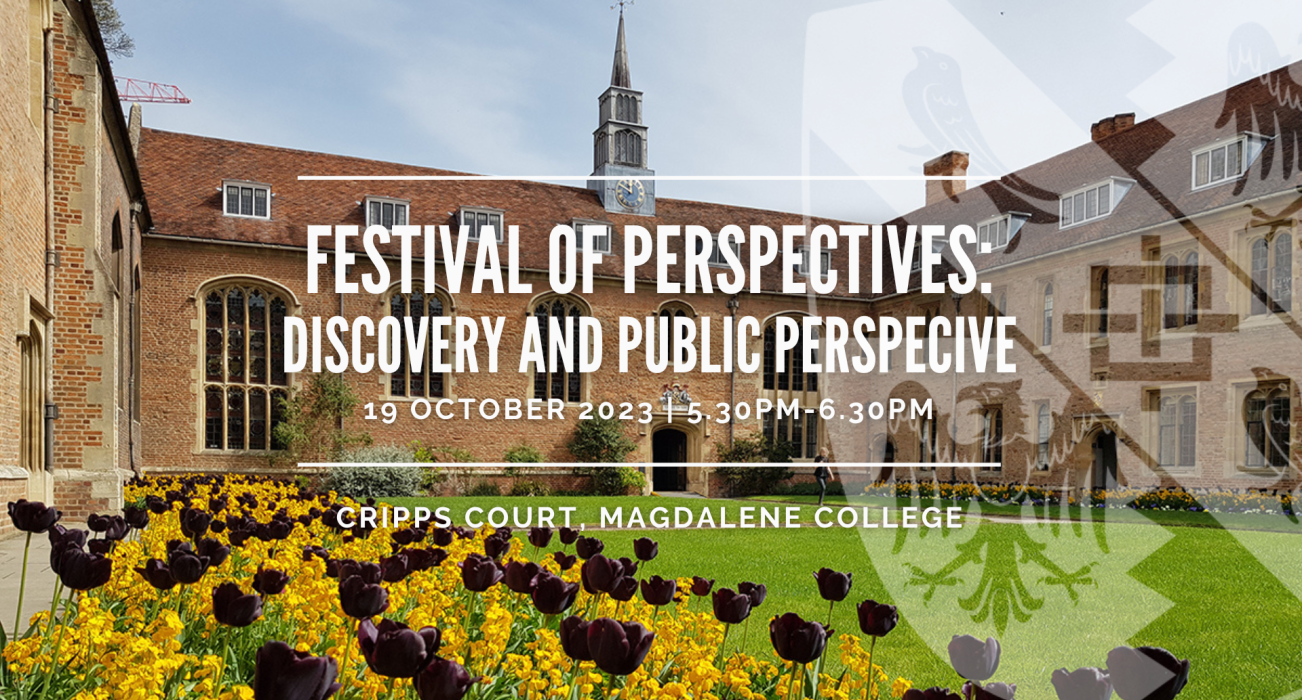 Festival of Perspectives