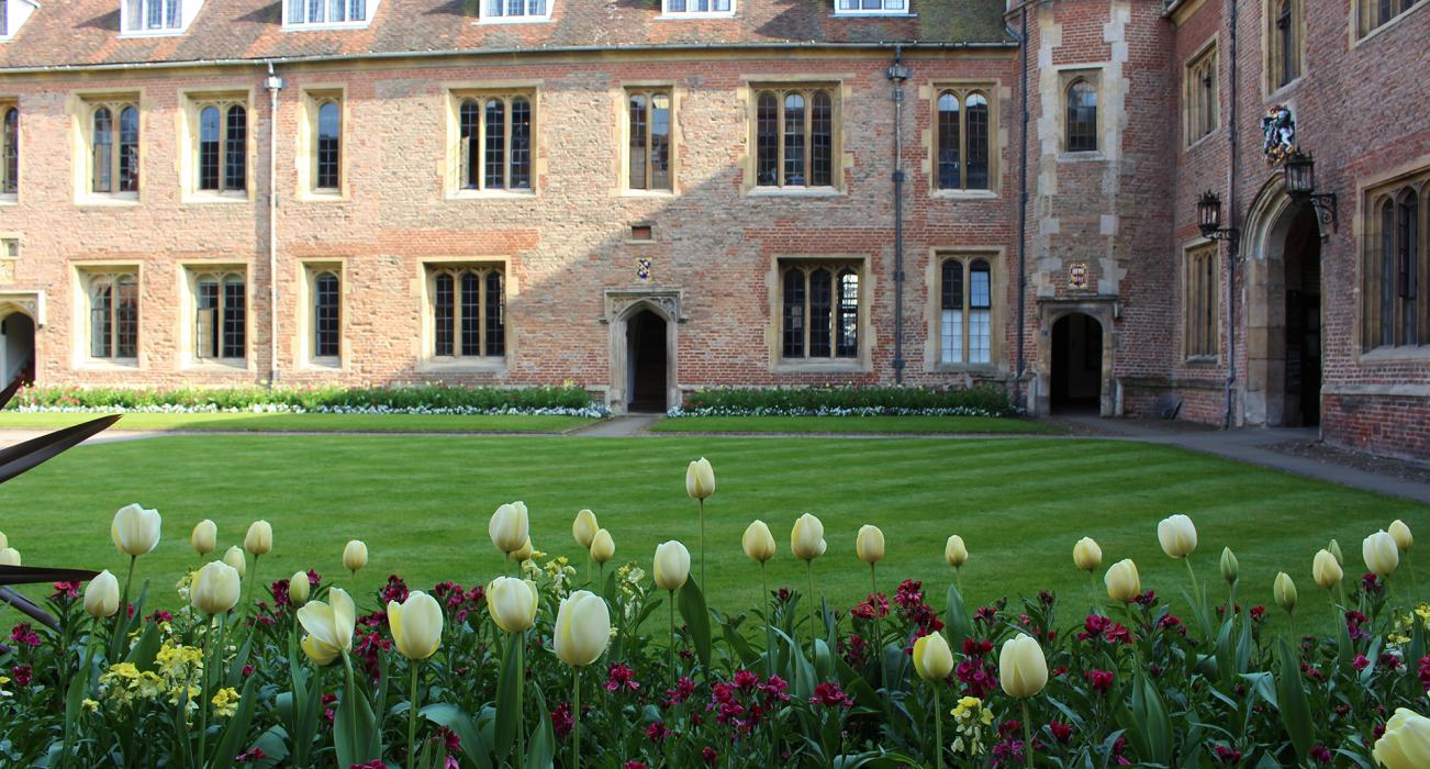Study Land Economy at the University of Cambridge
