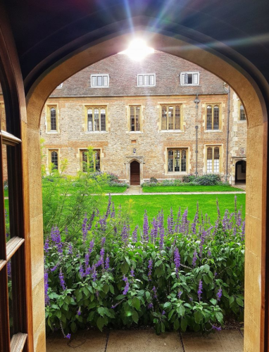 tuition fees and living costs