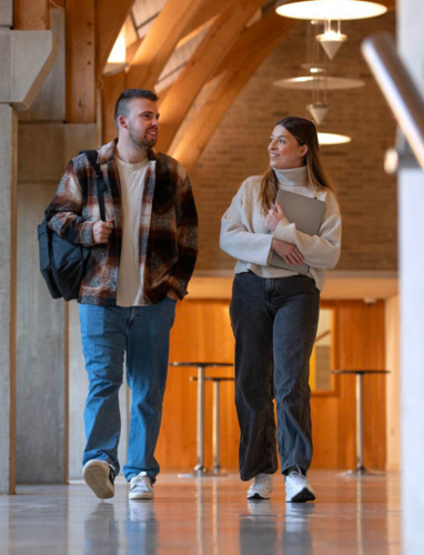 entrance requirements