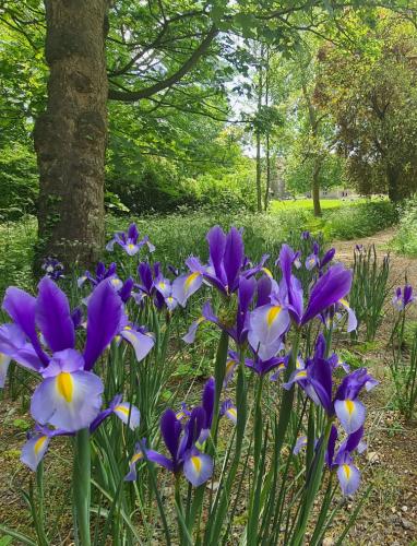 extenuating circumstances