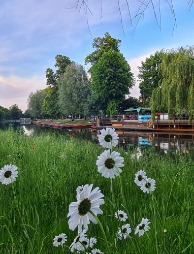 international undergraduates