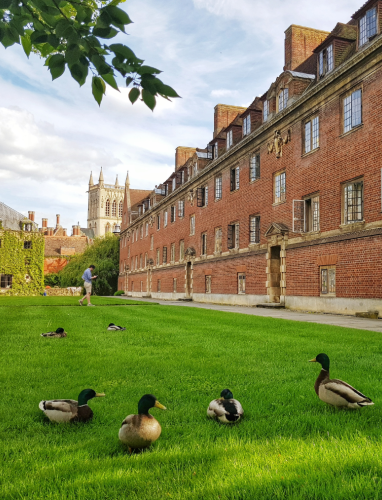 undergraduate accommodation