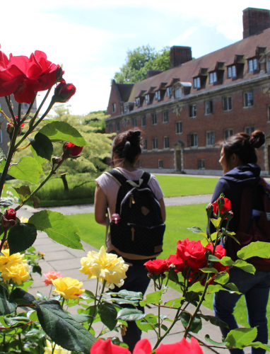 what we are looking for