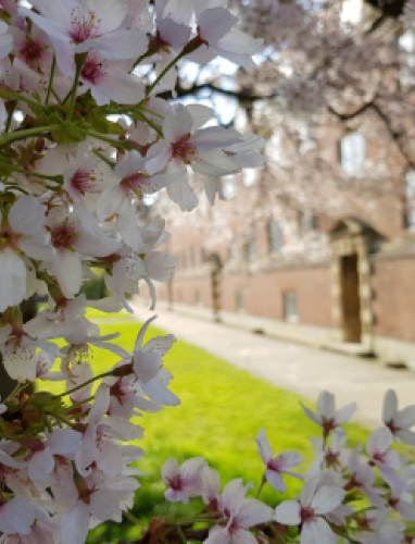 Bequests and Planned Giving