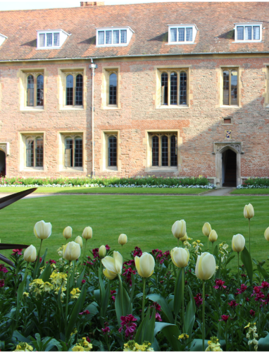 Leaving a gift in your Will