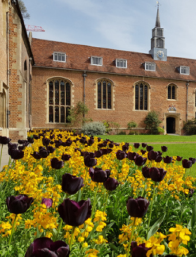 MCF Board of Directors