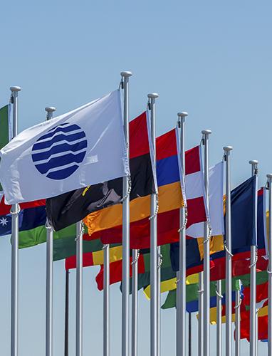 Rest of the World Flags