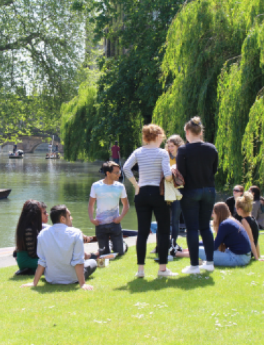 Student Welfare and Mental Health