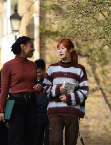 Supporting Undergraduates