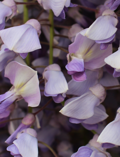 Sustainable Meetings