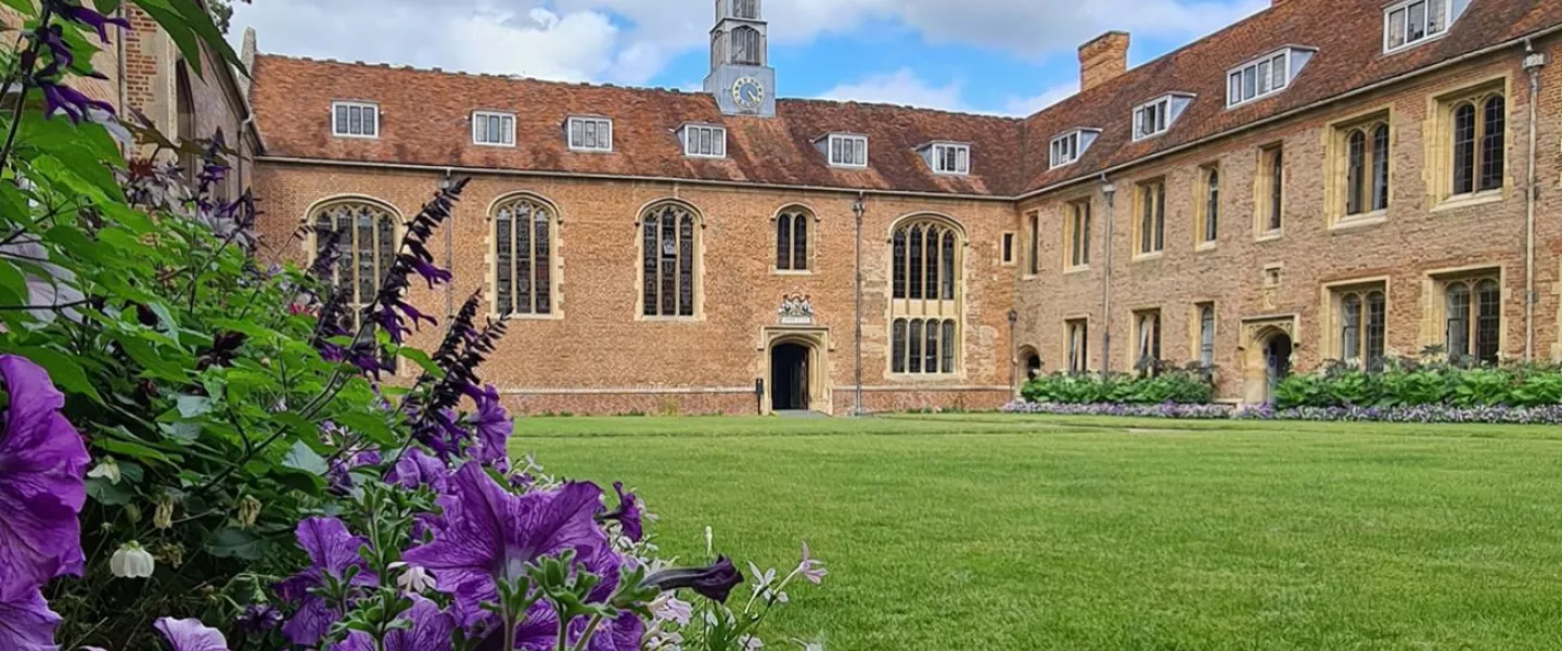 content.field_masthead_image['#items'].0.entity.field_media_image.entity.alt.value