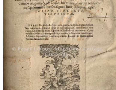 cbd89-image-2-edited-2