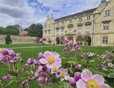 impact_report_2024_banner