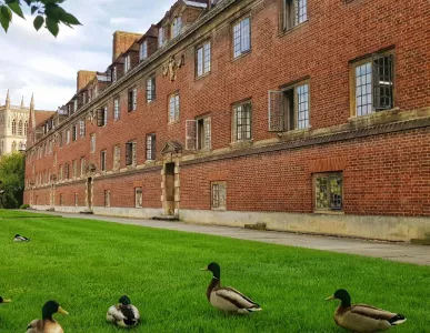 magdalene_matters_52