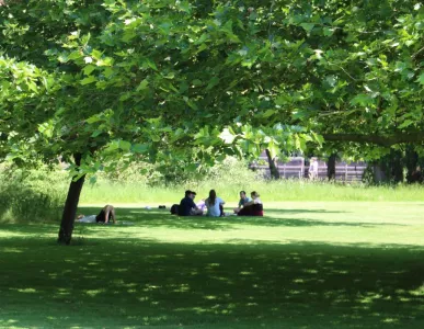 students in fellows garden 2