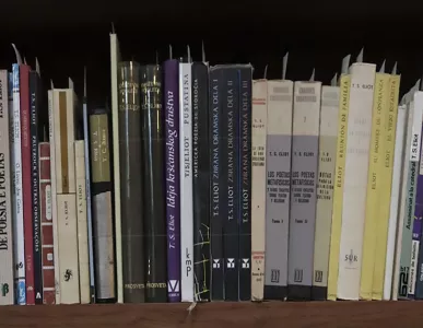 TS Eliot Books